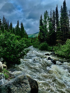 Carlo Creek IMG 0660