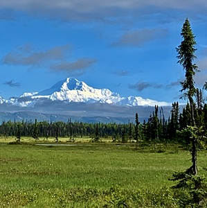 Denali NP Petersville Rd IMG 1081
