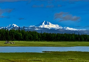 Denali NP Petersville Rd IMG 1088
