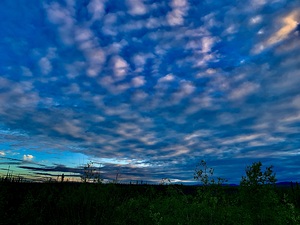 Dalton Highway IMG 1313
