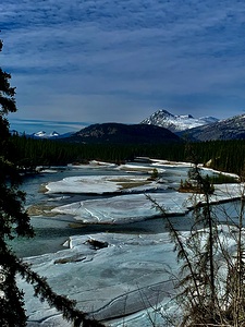 Haines Junction IMG 9233