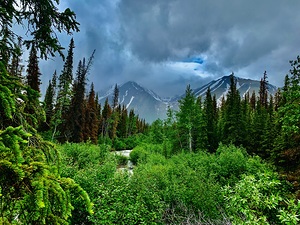 Mountain Creek IMG 0683