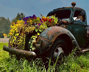 Flower Truck IMG 3551