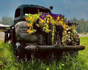 Flower Truck IMG 3555