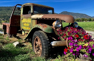 Flower Truck IMG 4973