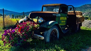Flower Truck IMG 4972