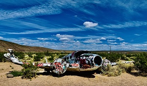 Tattooed Plane NV