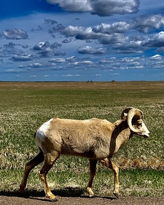 Badland National Park IMG 8733