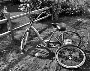 Three Wheel transportation 