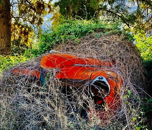 Vintage Red Car 