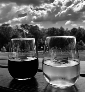 Vineyard IMG 8555