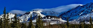 Denali Parkway Drive NP IMG 9502