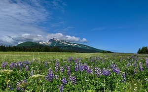 Lake Clark National Park IMG 2251