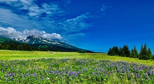 Lake Clark National Park IMG 2163