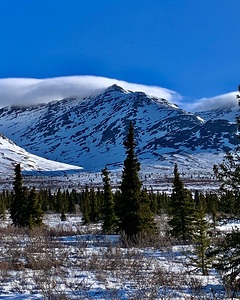 Denali Parkway Drive NP IMG 9516