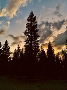 Lassen Volcanic National Park IMG 5194