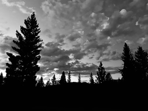 Lassen Volcanic National Park  IMG 5181