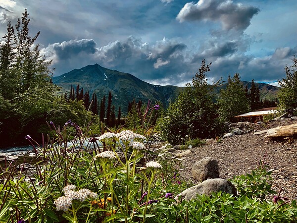 Creekside Alaska 1 by Scott Pientka