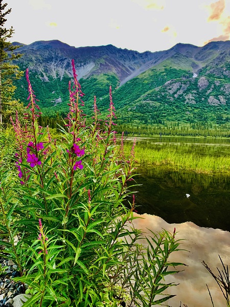 Mountain Lake Alaska IMG 1665 by Scott Pientka