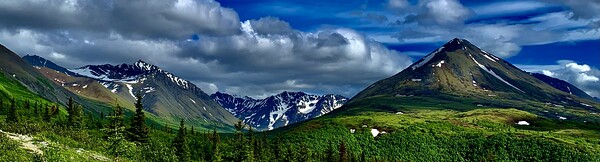 Morning Mountain Creekside Alaska by Scott Pientka