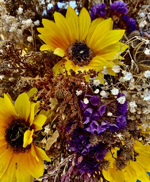 Dry Flowers 1 Digital Download
