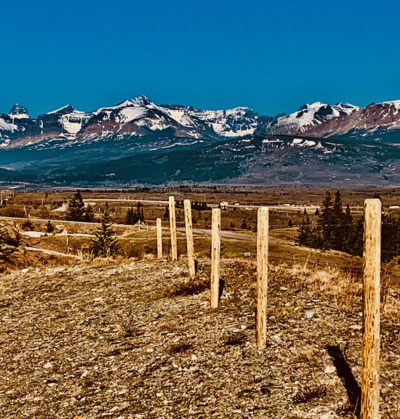 Swiftcurrent Ridge Babb MT IMG 8892 by Scott Pientka