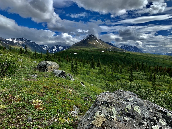 Morning Mountain IMG 0794 by Scott Pientka