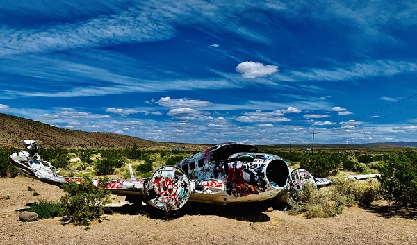 Tattooed Plane NV Digital Download