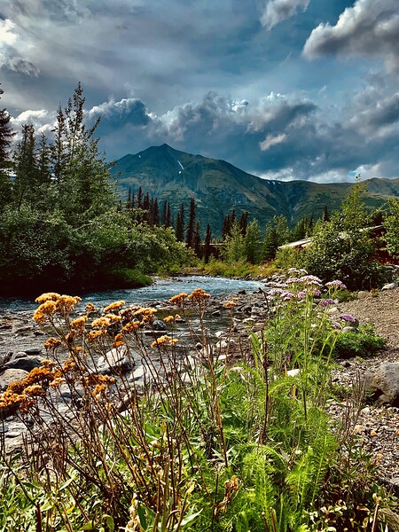 Creekside Alaska 2 by Scott Pientka