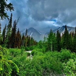 Mountain Creek IMG 0683
