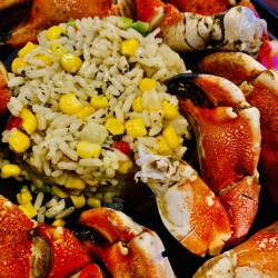 Stone Crab