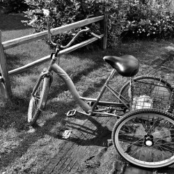 Three Wheel transportation 