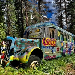 Creekside Bus IMG 2493