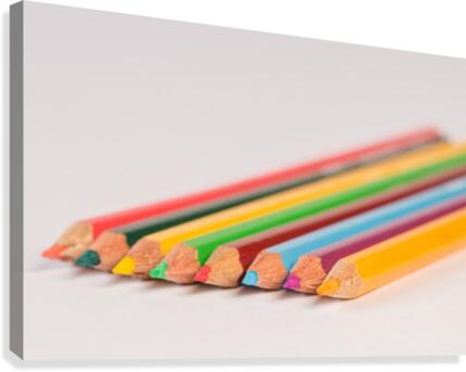 Assorted colored Pencils Canvas Print