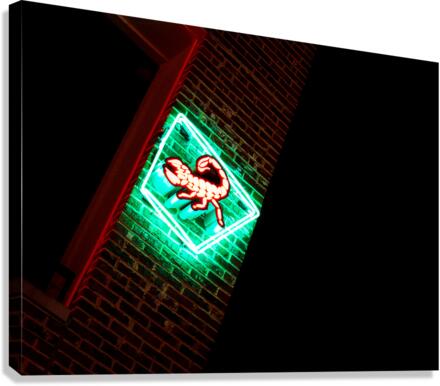 Scorpion Shot Canvas Print