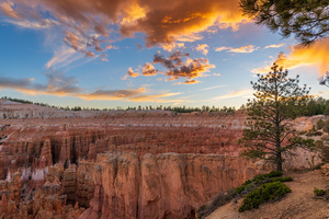 Bryce-Sunset Point Overlook 1