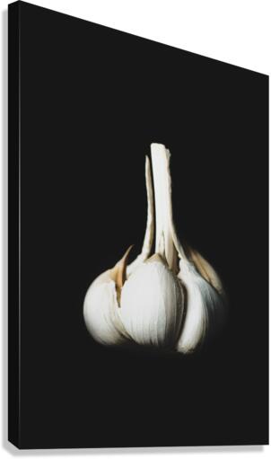 GARLIC Canvas Print