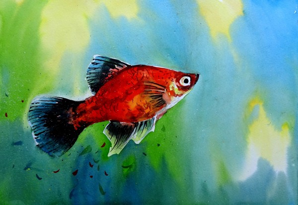 Fish 1 Print