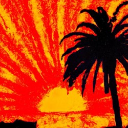 Black Palm Sunset
