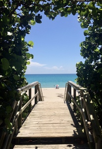 Jupiter Beach Boardwalk with Mangroves