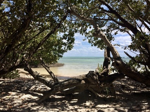Islamorada Key Beach
