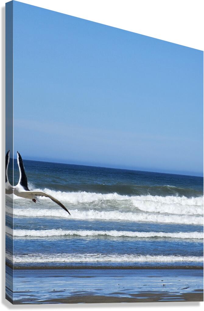 In Flight  Canvas Print