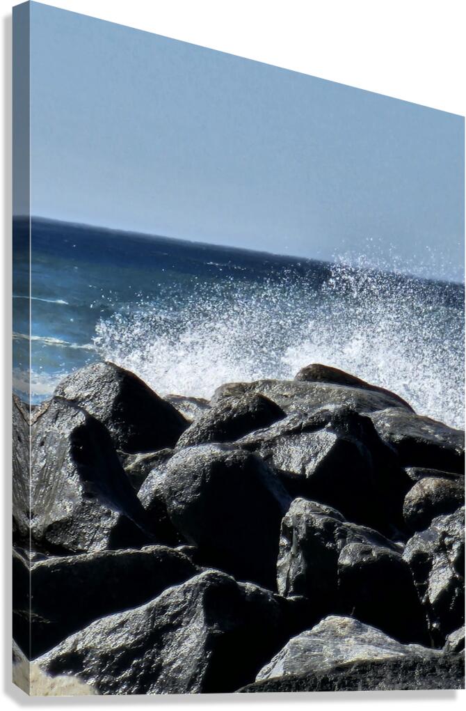 Splash Canvas Print