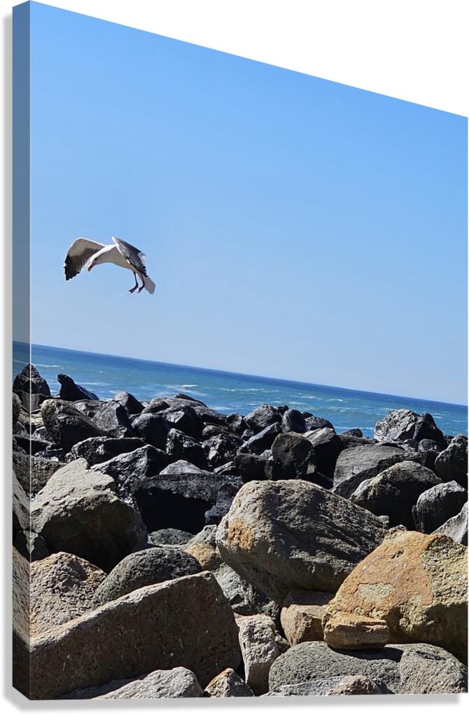 The Landing Canvas Print