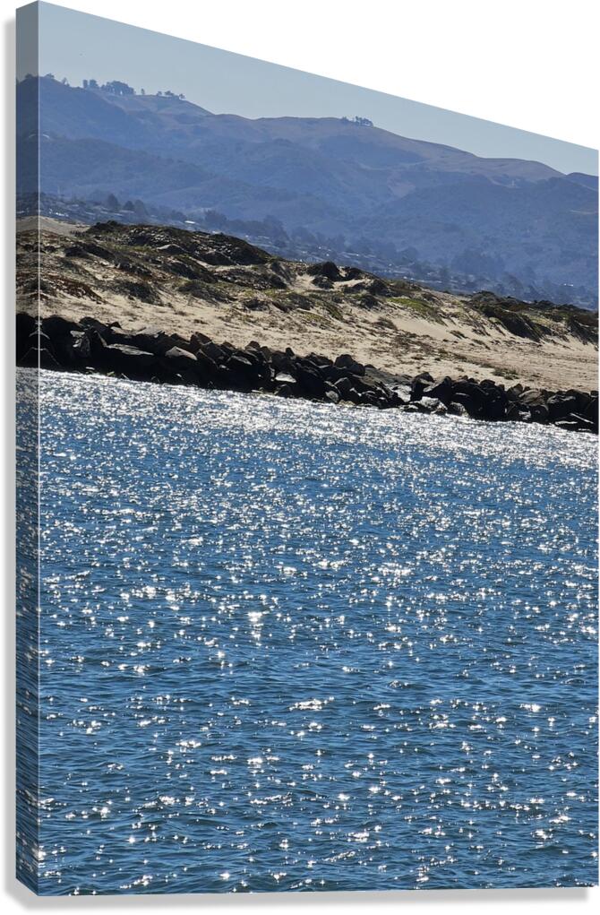 Ocean Sparkle Canvas Print