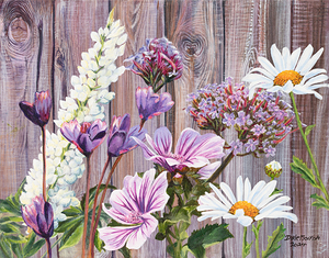 Backyard daises9x12