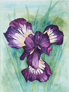 Pop of purple 17.25x23.5