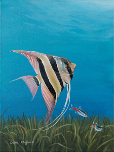 Angel Fish 12x16