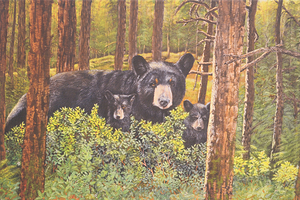 Proud Mama Bear - Painting