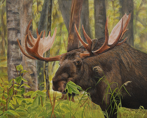 Munching Moose - Painting